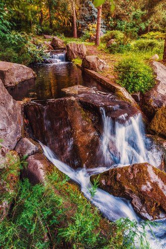 Японский сад в Москве.