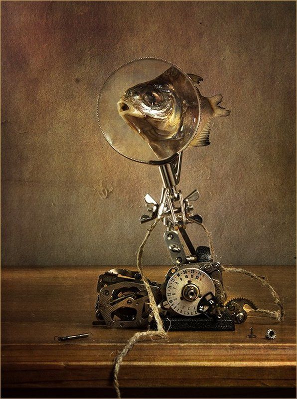 Взгляд фото превью