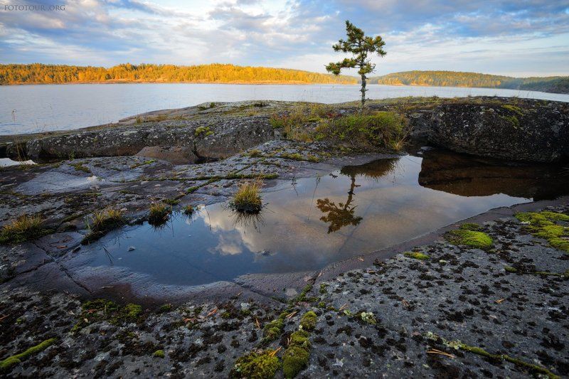 ЛАДОГА фото превью