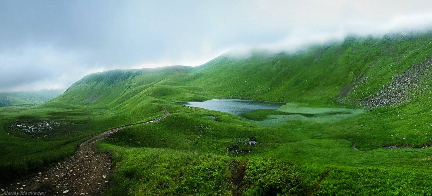 карпаты,  горы,  лето,  дождь, свидовец, облака, туман, украина, догяска, Алексей Медведев