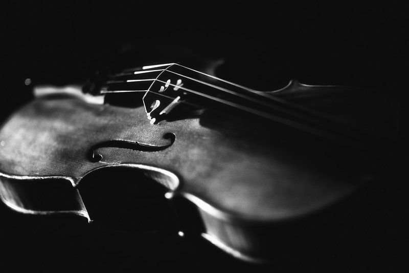 Скрипка, Чб strings of the soul.. фото превью