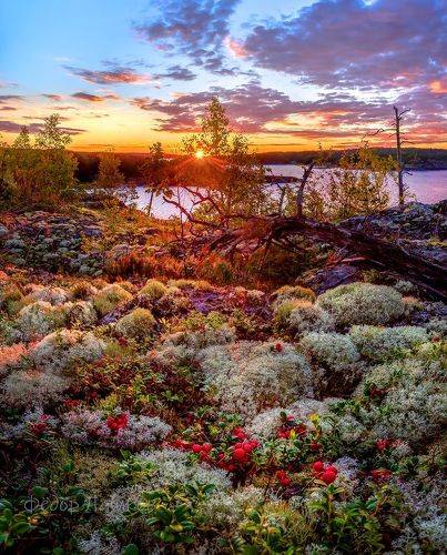 Август на островах Ладоги