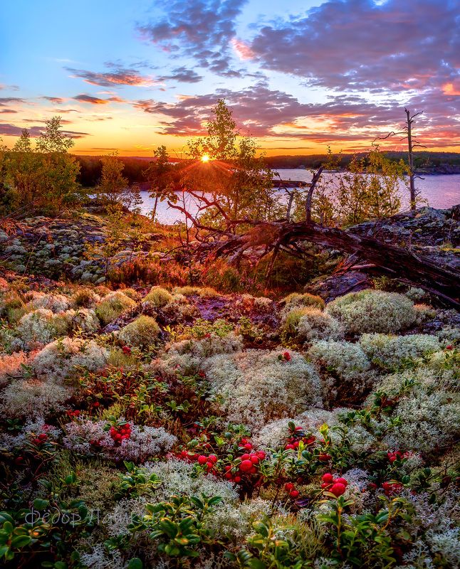 Август на островах Ладоги фото превью
