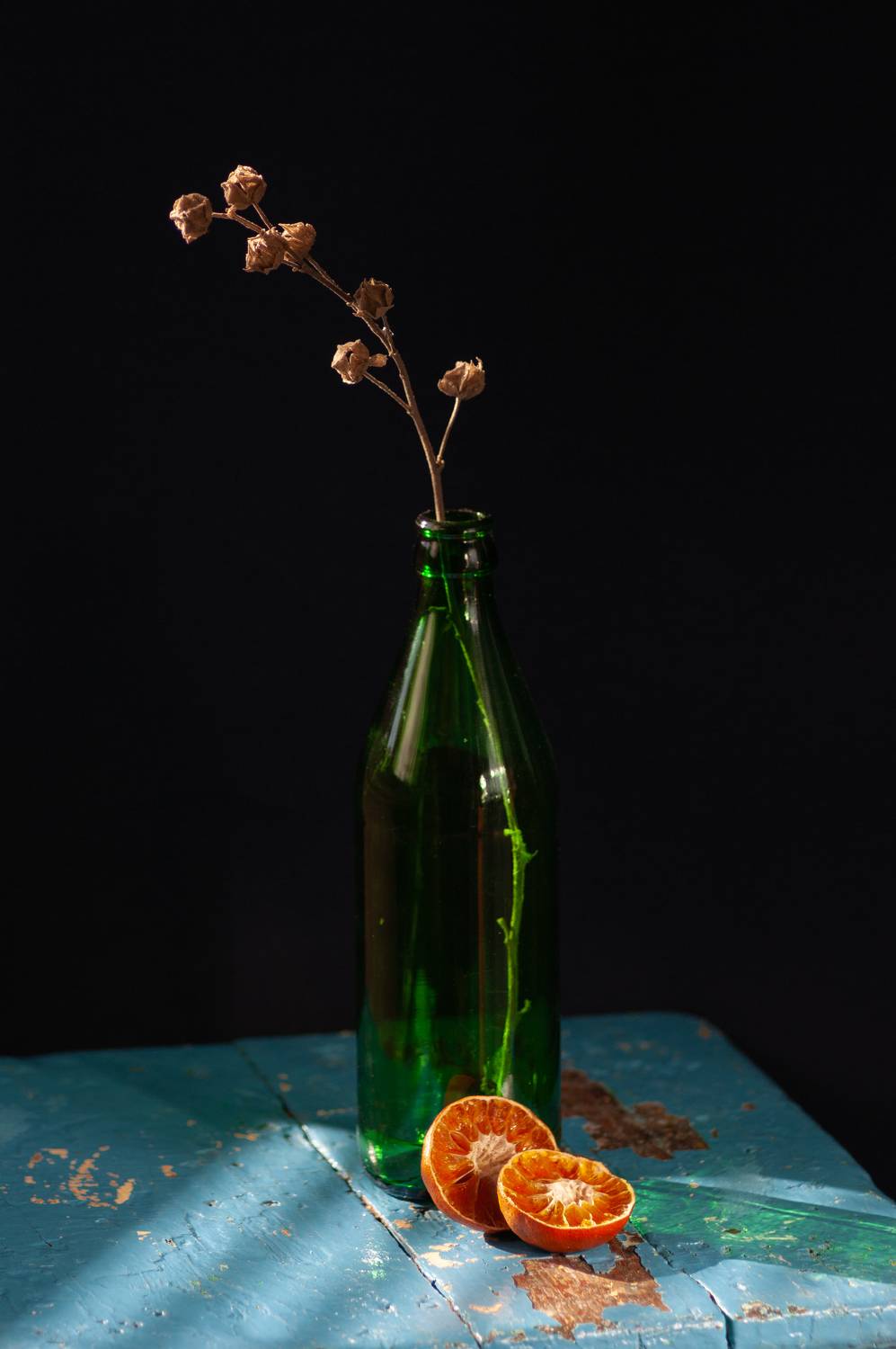 , Елена Павлюк