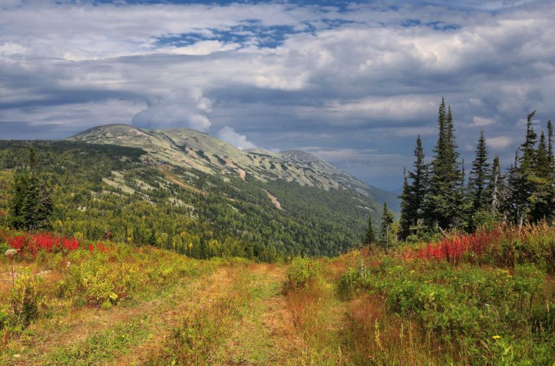 горная шория, шерегеш, сибирь Август в Шерегеше фото превью