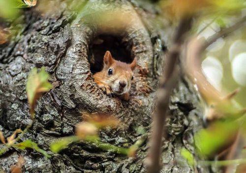 Когда  накрыла на стол и ждёшь гостей