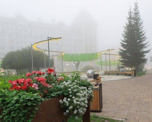 Туман в сквере
