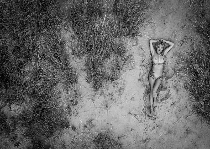 as the crow flies фото превью