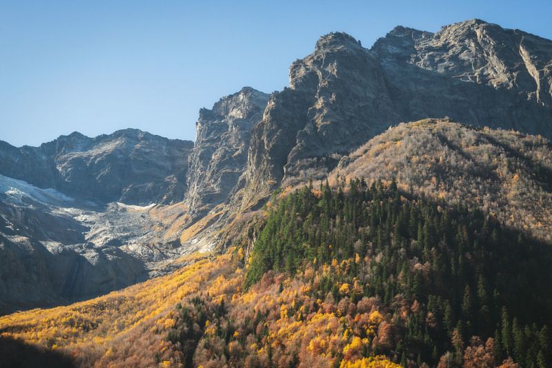 autumn, dombay, mountains, landscape, orange, leaves, pine, caucasus, Домбай. фото превью