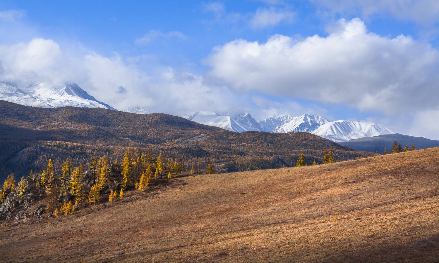 россия, горный алтай,осень, Андрей Поляков