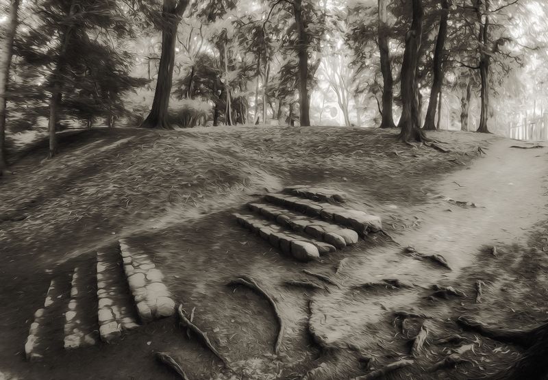 В старом парке. фото превью