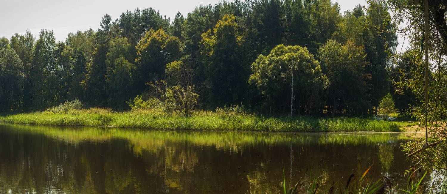 , Сергей Лысенко