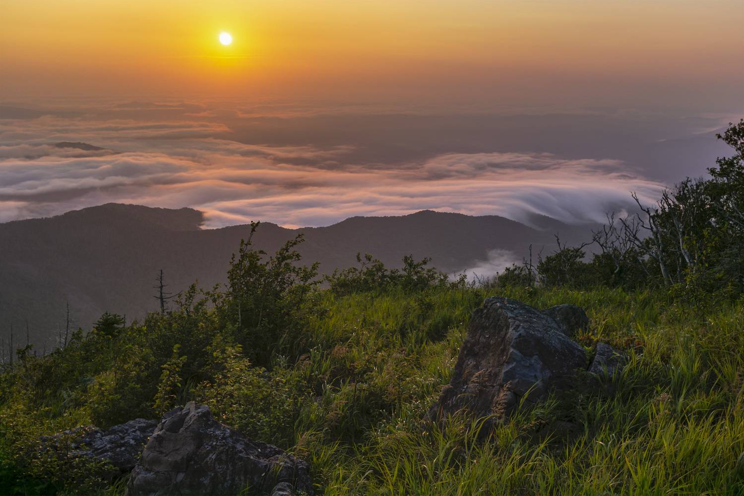 Горы, туман, закат, ALEKSANDR KUZNETSOV