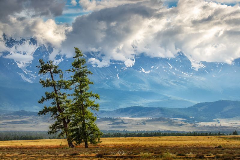 Где-то на Алтае фото превью