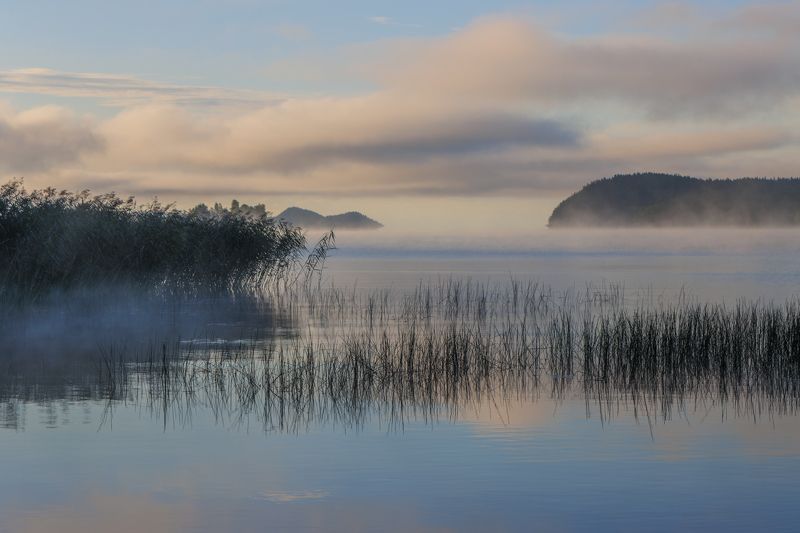 озеро, туман, рассвет, облако Ладога, просыпайся! фото превью