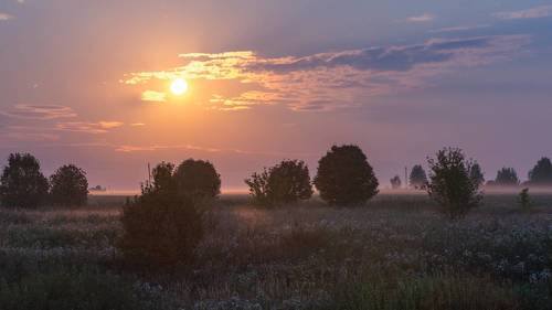 Полная луна