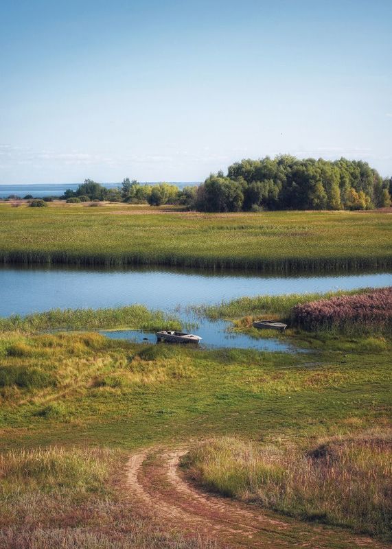 Мёша фото превью