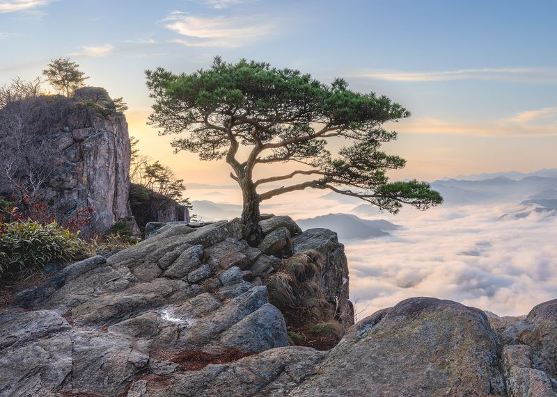 Lonely summit фото превью