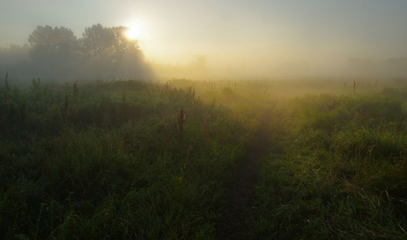 По тропинке фото превью