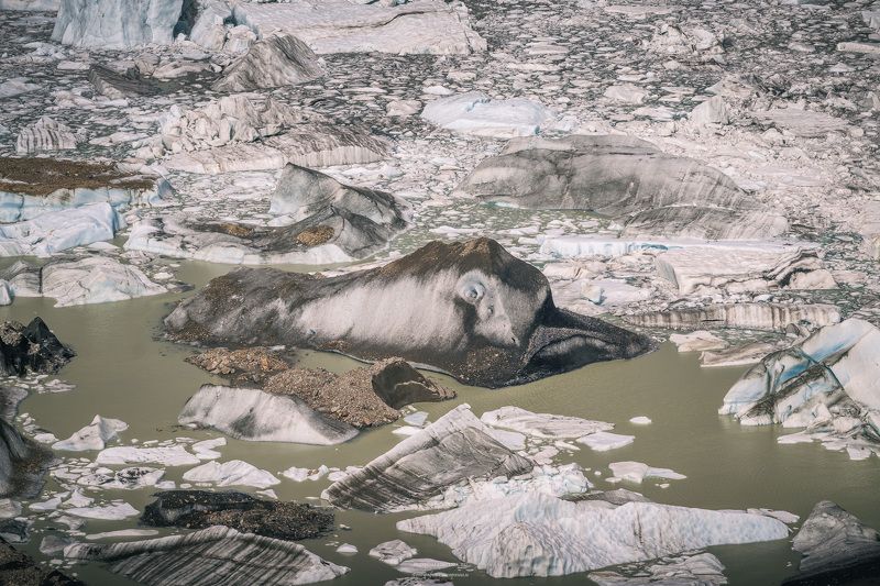 ледник, торре, Патагония, аргентина Дельфин фото превью