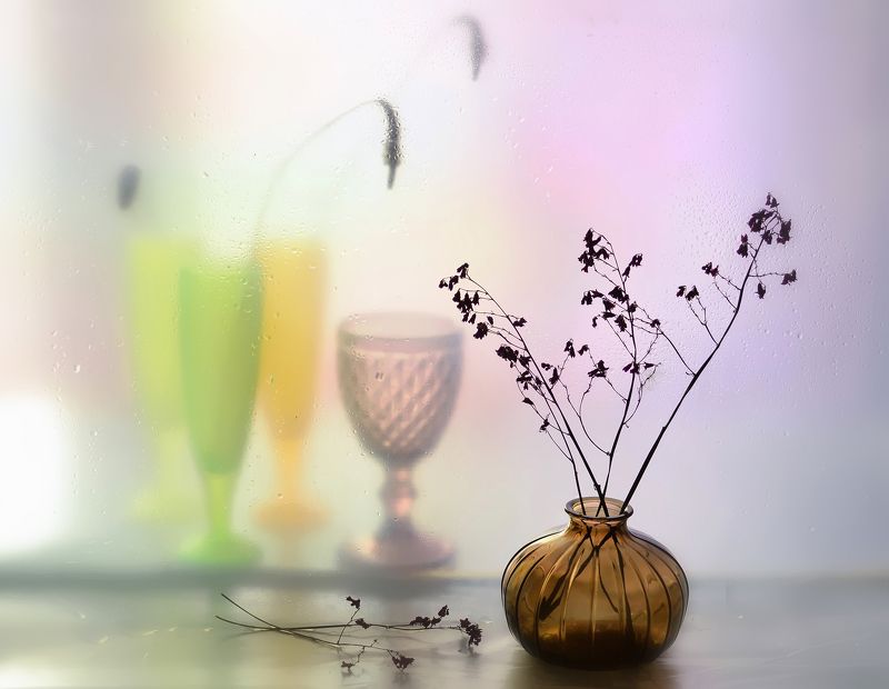 стекло,свет,сухоцвет *** фото превью