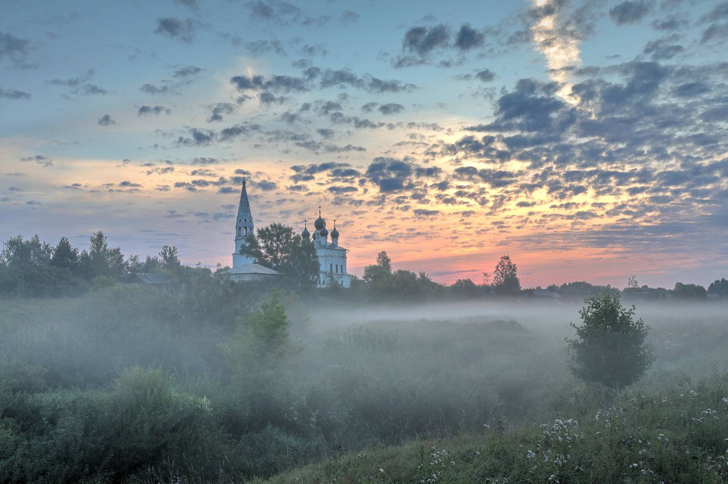 , Добролюбова Тамара