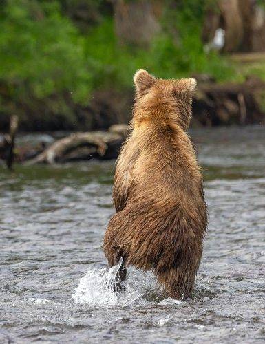 Через речку вброд.