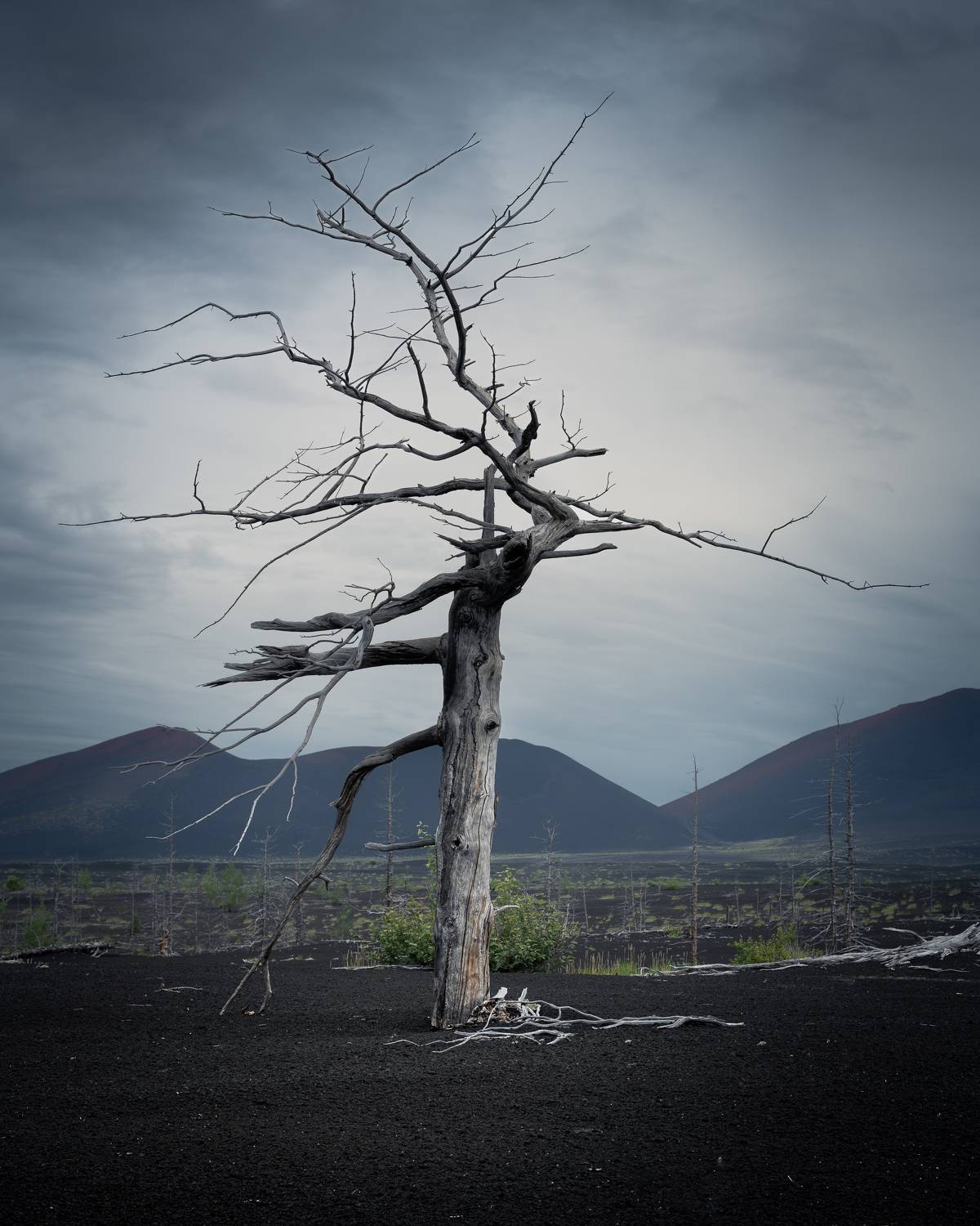 , Константин Калинин