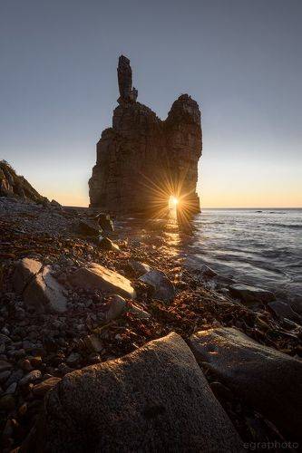 Частицы Приморья