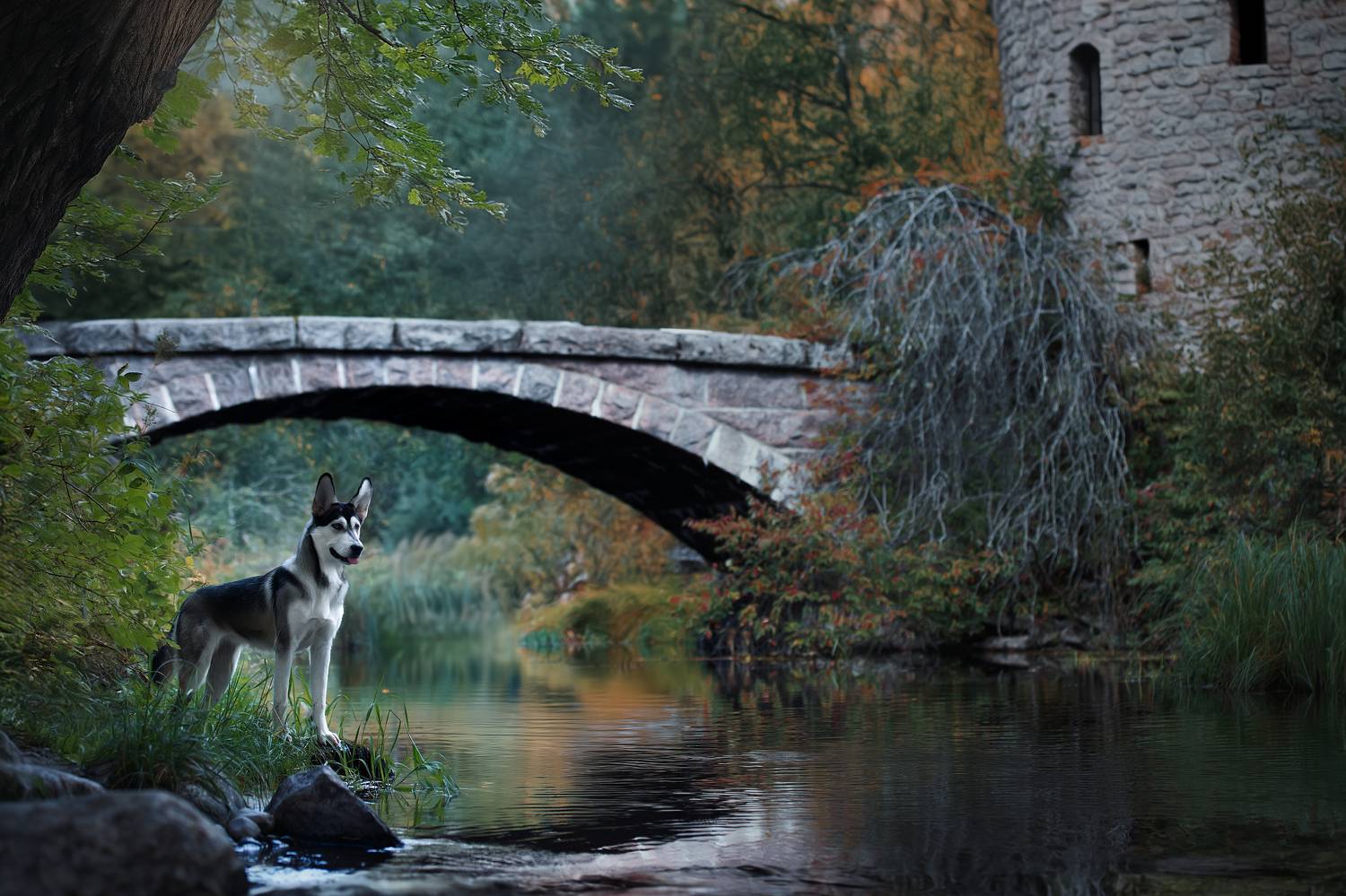 , Светлана Писарева