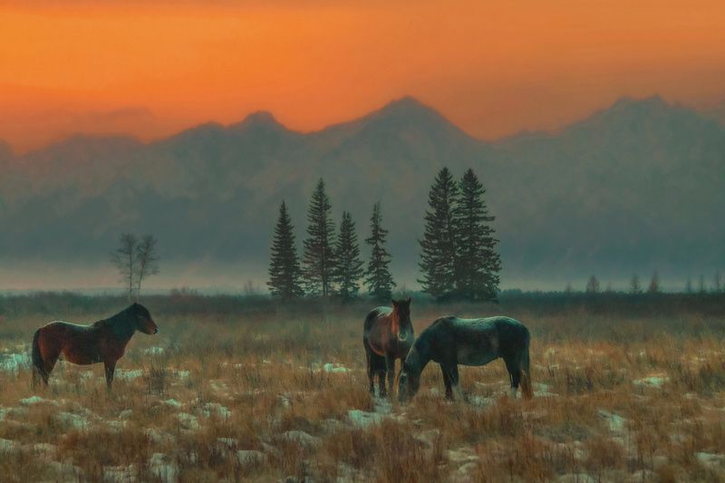 Вечер в долине фото превью