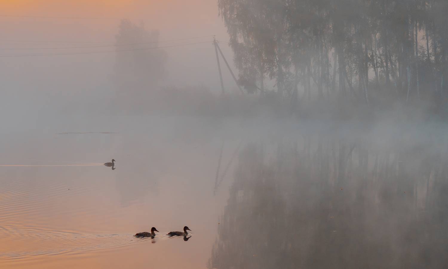 , Макеев Алексей