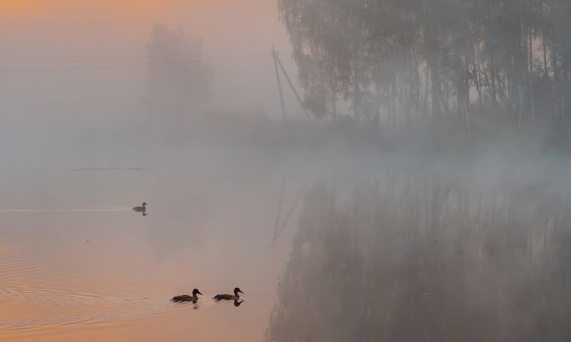 ... фото превью