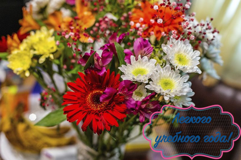 С началом учебного года! фото превью