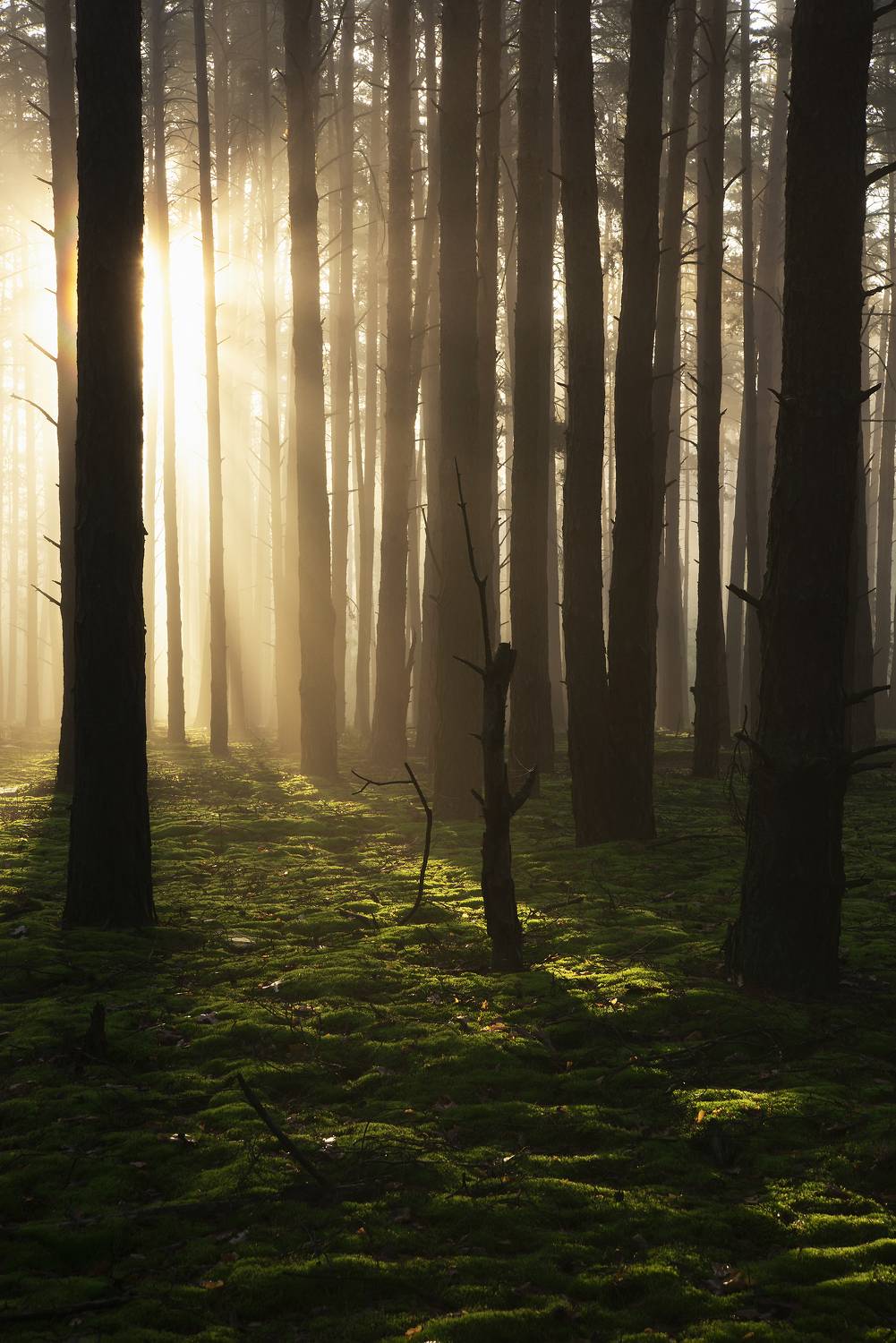 , Захаров Дмитрий