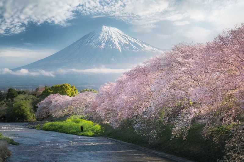 In Japan