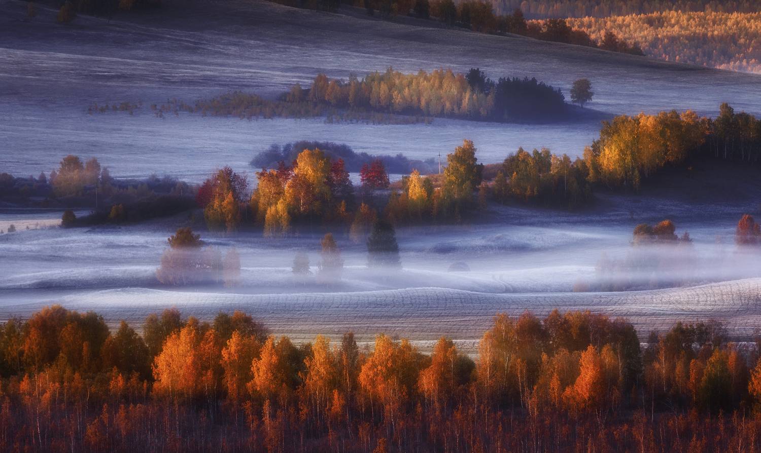 , Татьяна Бирюкова