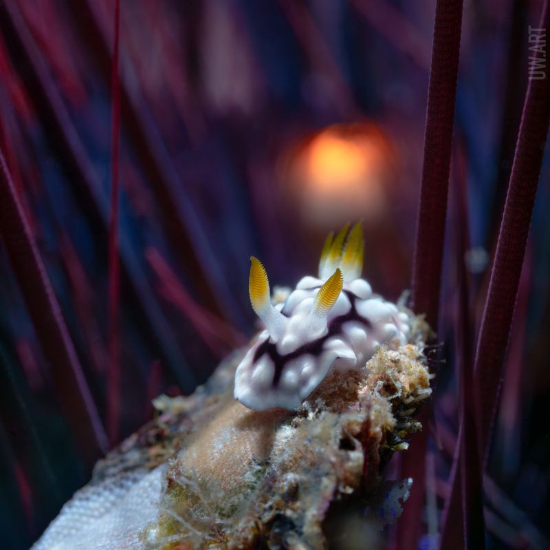 Закат фото превью