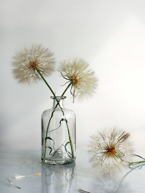 Арт-фото во всех проявлениях фото превью