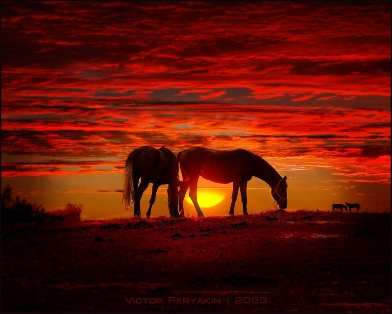 Последний вечер лета фото превью