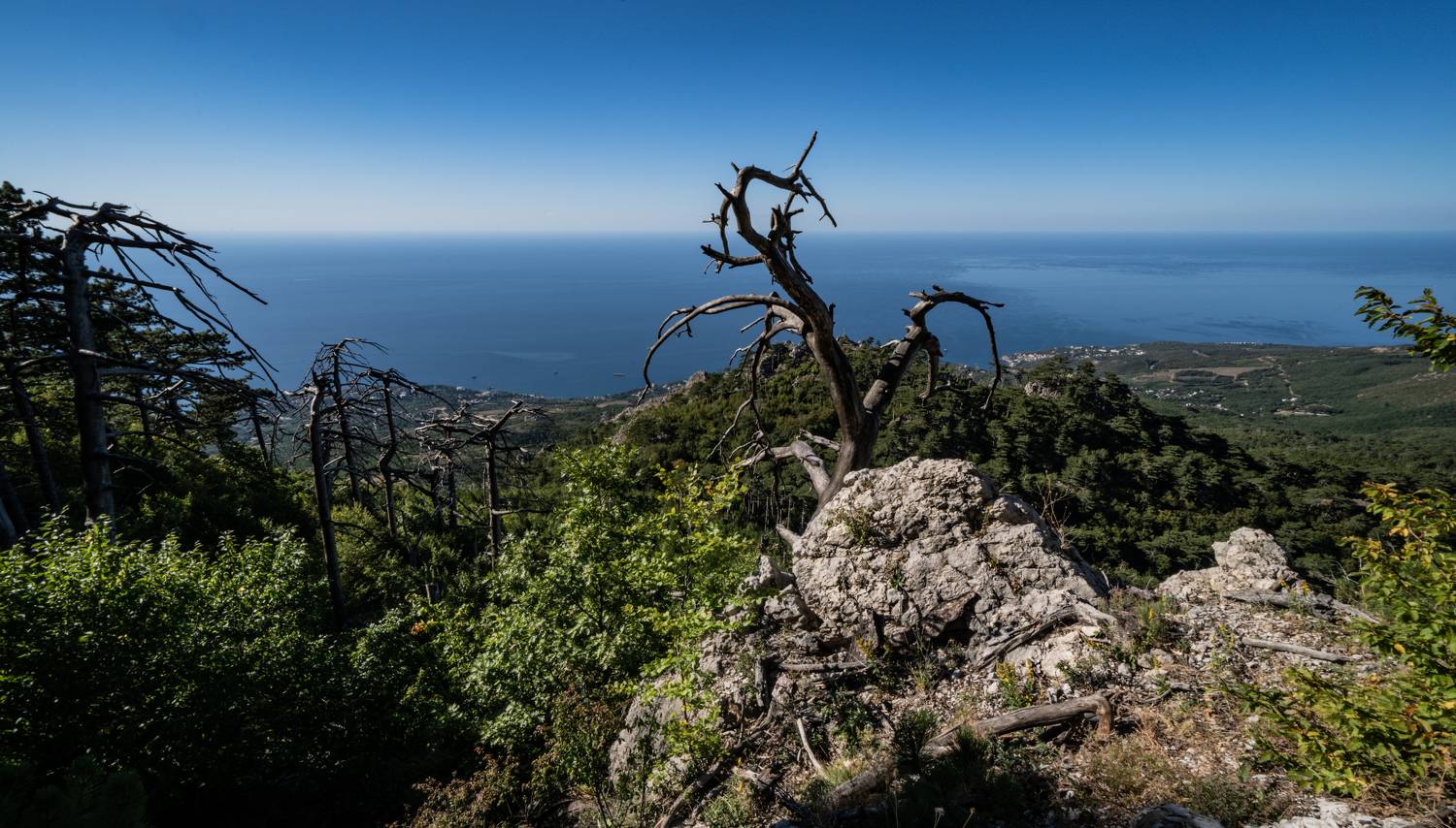 Россия, Крым, плато Ай-Петри, Еврейская тропа, Чёрное море, Симеиз, Алупка, , Юрий Гаврилов