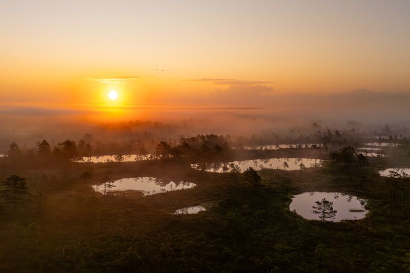Болото в 5 утра фото превью