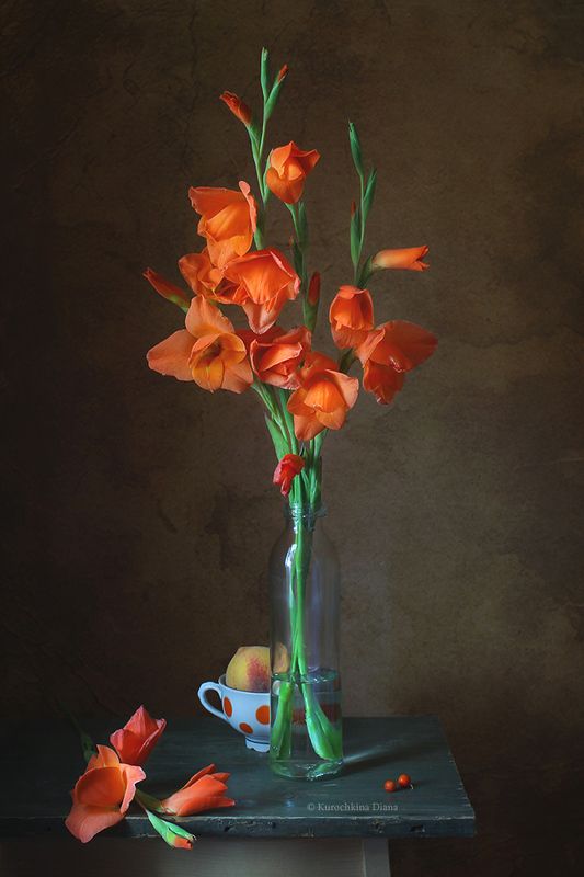 натюрморт, цветы, гладиолусы  фото превью