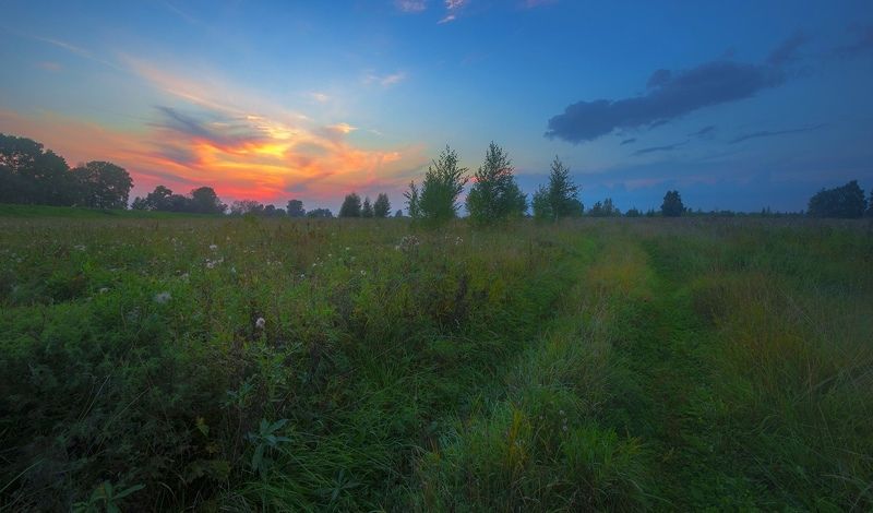 пейзаж, вечер Жар-птица осень к нам летит фото превью