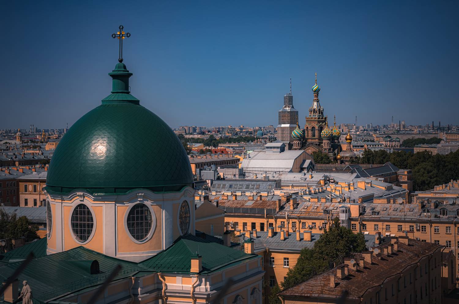 , Трепольский Дмитрий