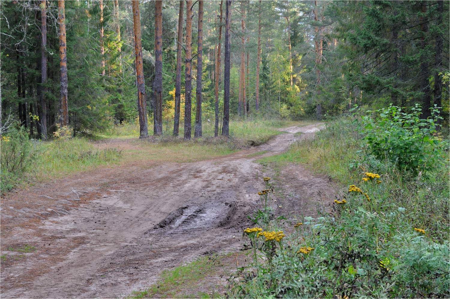 , Анатолий Гулин