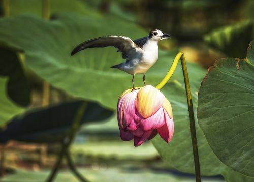 Ждем ваших аплодисментов.