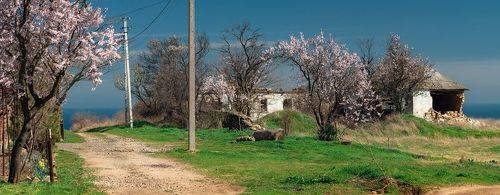 Весенняя прогулка по Осовинской степи.