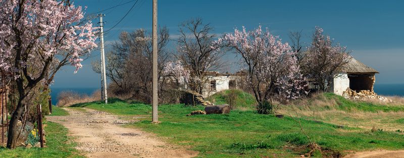 Весенняя прогулка по Осовинской степи. фото превью