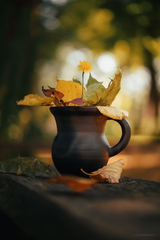 .... фото превью